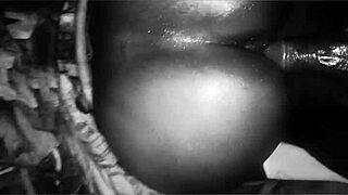 Busty Ebony Craves Monster Cock in Squirting Doggystyle Session