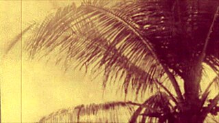 A night in a Moorish harem by Lord George Herbert