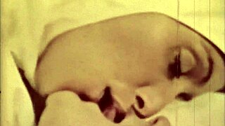 dragonfly adventure in retro vintage