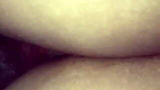 redbone rides big black cock in reverse cowgirl