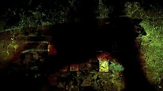 vintage swinging in the sixties