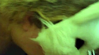 Quick closet sex with blowjob and doggystyle