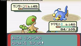 改版宝可梦蓝宝石全精灵出现第12部