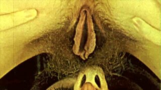 my secret life exploring vintage lesbian stories with hairy antique vibes