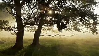 took my girl to the farm house for wild fun