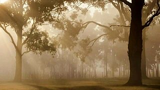 took my girl to the farm house for wild fun