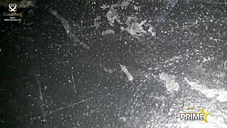 morena gostosa participates in a group activity with brunette friends