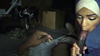 muslim housewife xxx at the booty drop point 23km outside base