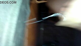 Dutch Cow Milking Lactating Cum