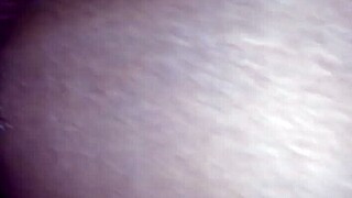 Casada Sentindo A Rola Do Negão Na Frente Do Corno