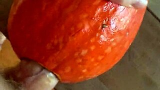 Hey, pumpkin fucker, what’s with that wild insertion toy?