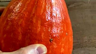 Hey, pumpkin fucker, what’s with that wild insertion toy?