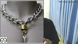 Escuela de o cap 7 tipos de collares de sumisi�n