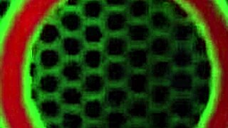 gorgeous blonde vicky vette drills hairy slit in lingerie