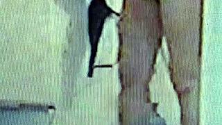 sister in lahore chats casually