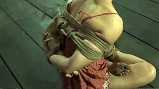 Want to see this gagged slut whipped on her tits while sucking?