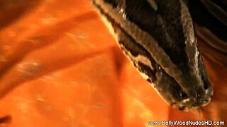 Forbidden sensual desires of indian milf with exotic brunette features