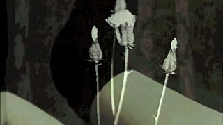 dark lantern presents vintage blowjobs and erotic confessions of a victorian gentleman