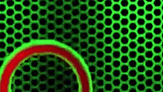 jelena jensen got spermed on tits after matt banged her cunt