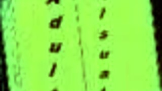 Harem hotel adventure continues!