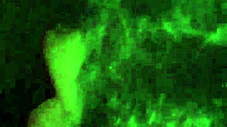 in this scene, the black performer delivers the best blowjob, filling her mouth with cumshot before swallowing