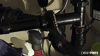 Busty brunette receives intense muff diving and sloppy blowjob before hardcore doggystyle pounding