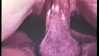 vintage dark lantern london vintage interracial taboo with hairy pussy and black cock