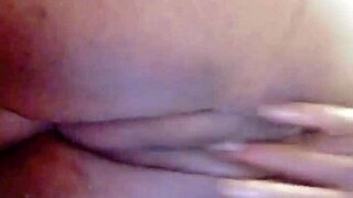 sundaydogood614 update 44 c360vid jan 29 2024