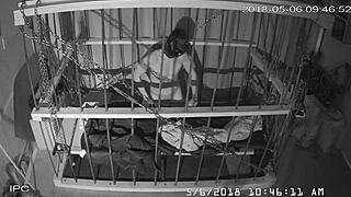 this cagecam feed shows bound gay bondage action