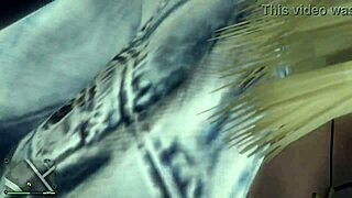 GTA 5 First Person Hooker Experience 2