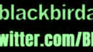 overwatch compilation packed with steamy action from 149 22 09 24