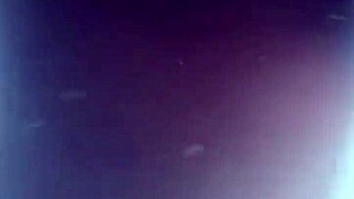 fuck myself good in my pool