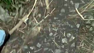 Orgia in Brazilian Woods with 4 Young Twinks Showing Off Big Assets