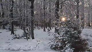 The beauty shuddered with dual orgasms from a powerful thrust