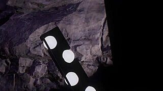 Eliza sucks in Nina Williams case files compilation.