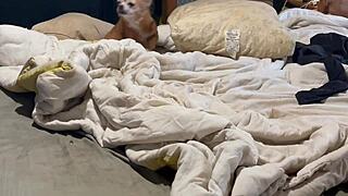 Wickedphoenix Update 19 Image 2882 from July 31 2024