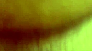 alineflavio shares update 151 on september 11 2024