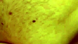 alineflavio shares update 151 on september 11 2024