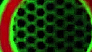 Vicky Vette Teases Cristi Ann with Foot Massage