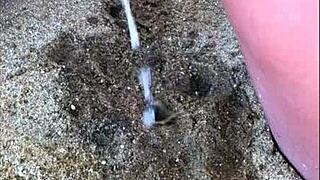Amateur couple enjoys pee play on the beach