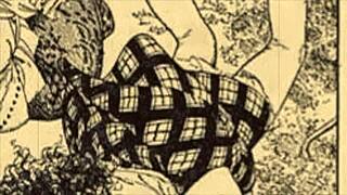 Vintage Erotic Illustration