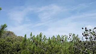 Francky’s Handjob and Ejaculation in Forest Nature Scene with Raw Intensity