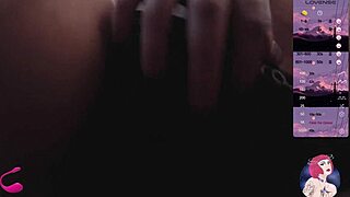 yuki enjoys playful fun with her neighbors