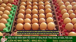 ancient king's remedy for male vitality boost