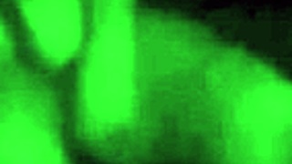 What pleasures does Suzi find in the sex cinema during this hentai adventure?