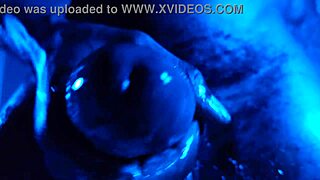 Bbc Worship Hallelujah Johnson Watchmen!