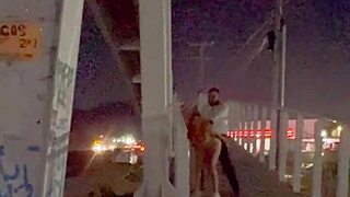 Lovebirds have sex on a bridge over the water