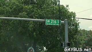 这场同志熊男邂逅藏着啥秘密？