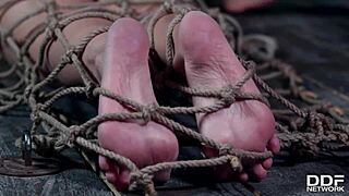 Realtor and client dominate teen Kristy Black in rough threesome