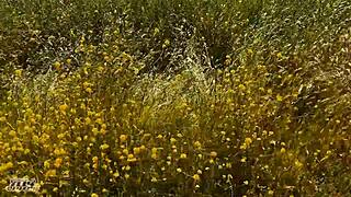 My wife and her secret friend elly clutch and susie stellar